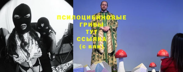 бошки Болхов