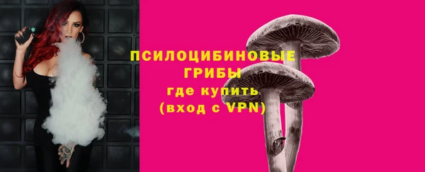 ешки Болотное