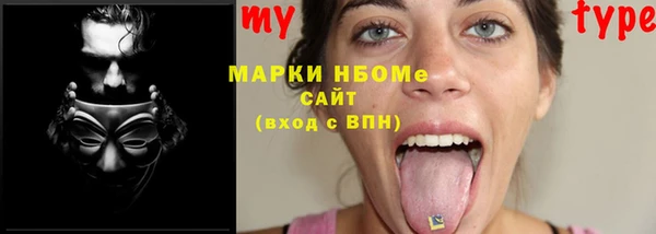 ешки Болотное