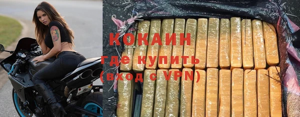 ешки Болотное