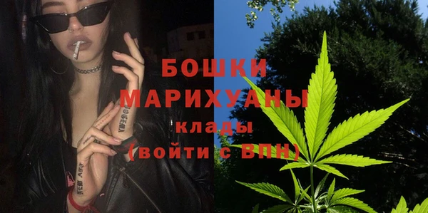 ешки Болотное