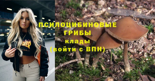 бошки Болхов