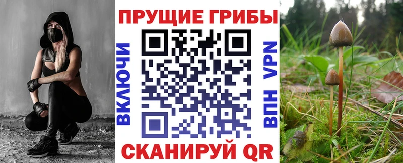 Галлюциногенные грибы GOLDEN TEACHER  где найти наркотики  Злынка 